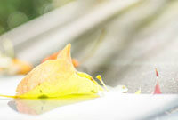 体调整到最 体调整到最