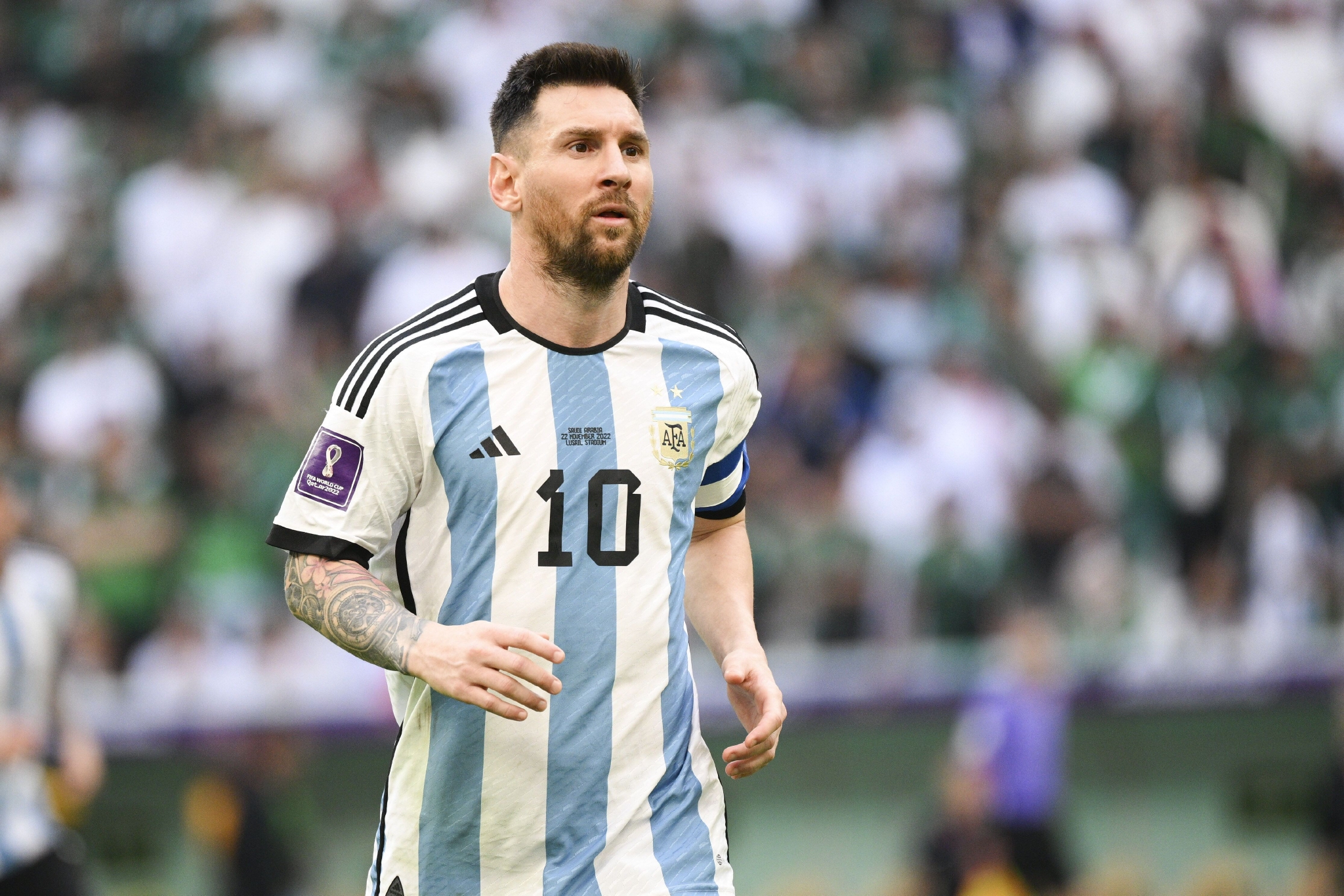 纳入董事会 纳入董事会